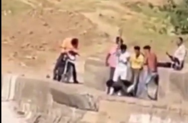 Durlabh Kashyap Gang शिप्रा नदी के स्टॉप डैम पर दो युवकों की बेरहमी से पिटाई विडियो  हुआ वायरल