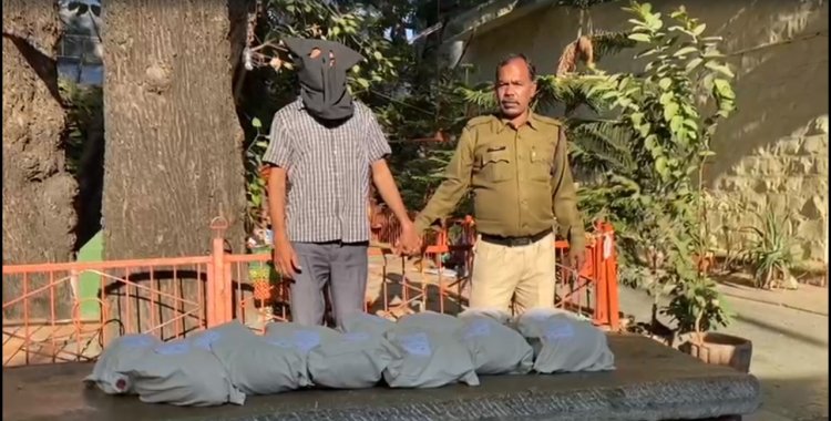 नार्थ इस्ट के ड्रग माफिया गिरोह पर मंदसौर पुलिस  का बड़ा शिकंजा, प्रदेश मुखिया के मंशानुरुप लगातार नशे के विरुद्ध कार्यावाही