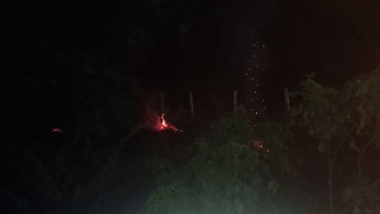 इंजीनियरिंग कॉलेज की बाउंड्री वॉल के अंदर झाड़ियों में लगी आग