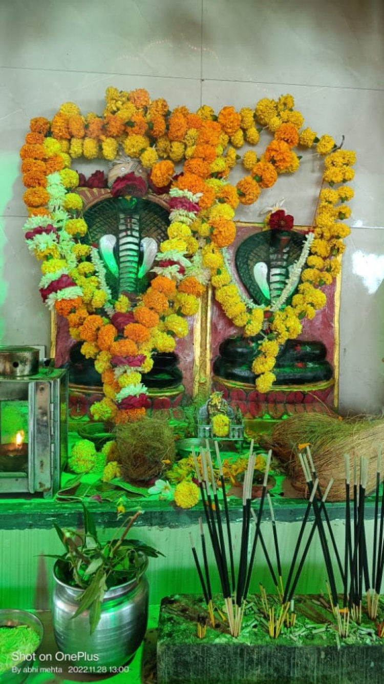 श्री देव वासुकी नाग मंदिर  पर नाग दीपावली मनाई