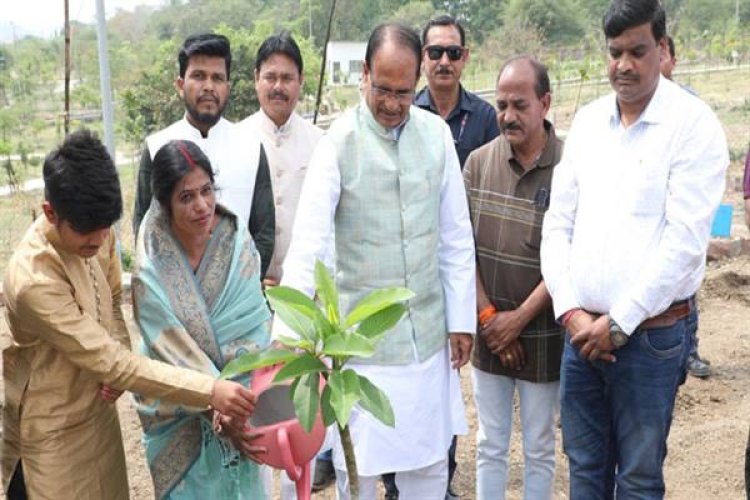 मुख्यमंत्री  चौहान ने सामाजिक कार्यकर्ता और मीडिया प्रतिनिधियों के साथ पौधे रोपे