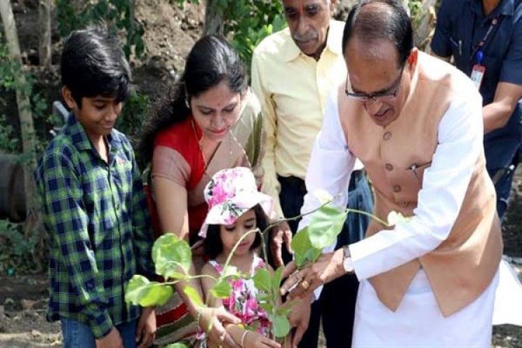 मुख्यमंत्री  चौहान ने बरगद, अमरूद और करंज के पौधे लगाए