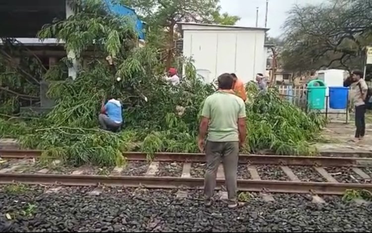 गुना में तेज हवा बारिश के कारण रेलवे स्टेशन की रेलवे ट्रैक पर गिरा पेड़